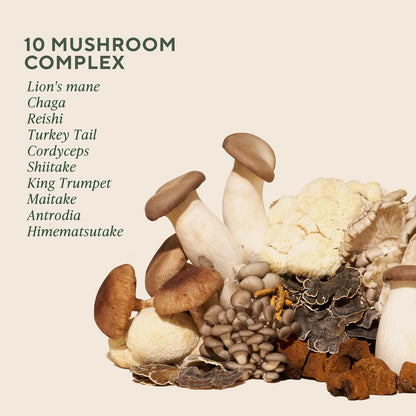 Om Master Blend Mushroom Capsules - Organic Mushroom Supplement with 10 Mushrooms and Ashwagandha – Supports Immunity, Gut Health & Stress Relief, 168 Count (56 Servings) - PrimeBioHealth - canada supplements