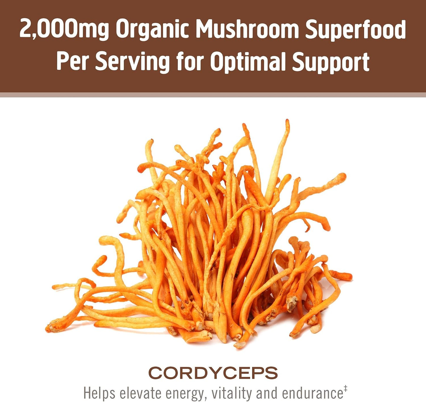 OM Mushroom Cordyceps Powder 7.05 oz (100 Servings) – Organic, Vegan, Non-GMO, Gluten-Free – Energy, Stamina & Endurance Support – Adaptogenic Superfood for Sports, Performance, Smoothies & Tea - PrimeBioHealth - canada supplements