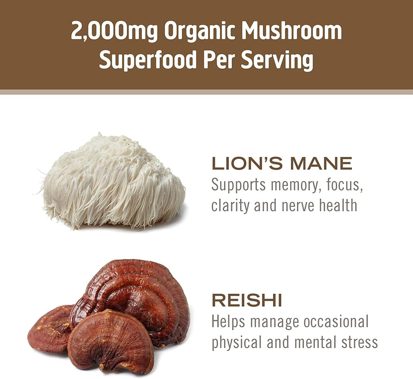 OM MUSHROOM SUPERFOOD Brain Fuel Mushroom Powder Capsules Superfood Supplement, 90 Count, 30 Days, Lion's Mane, Reishi Blend Plus Folate, Mental Clarity, Mushroom Supplement - PrimeBioHealth - canada supplements