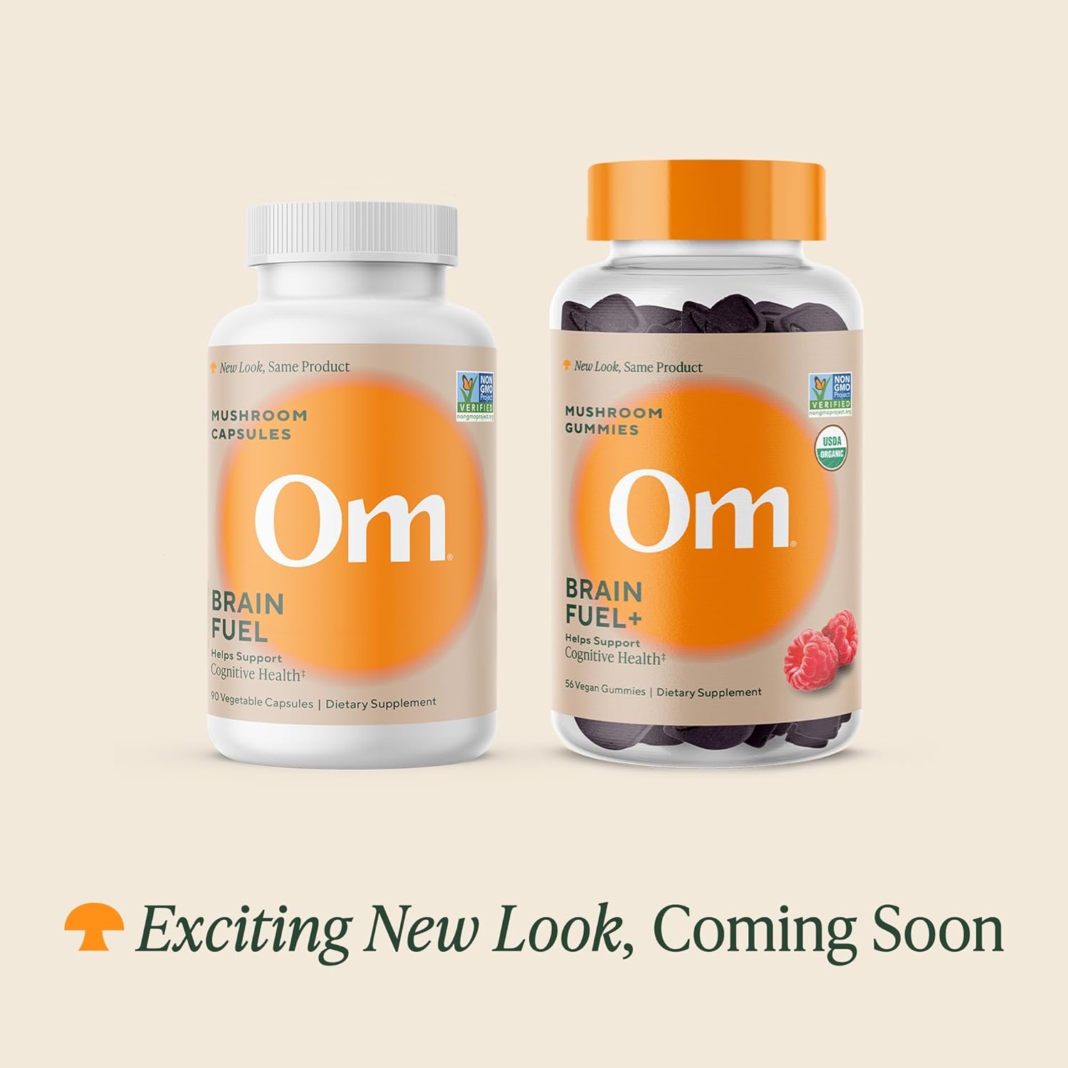 OM MUSHROOM SUPERFOOD Brain Fuel Mushroom Powder Capsules Superfood Supplement, 90 Count, 30 Days, Lion's Mane, Reishi Blend Plus Folate, Mental Clarity, Mushroom Supplement - PrimeBioHealth - canada supplements