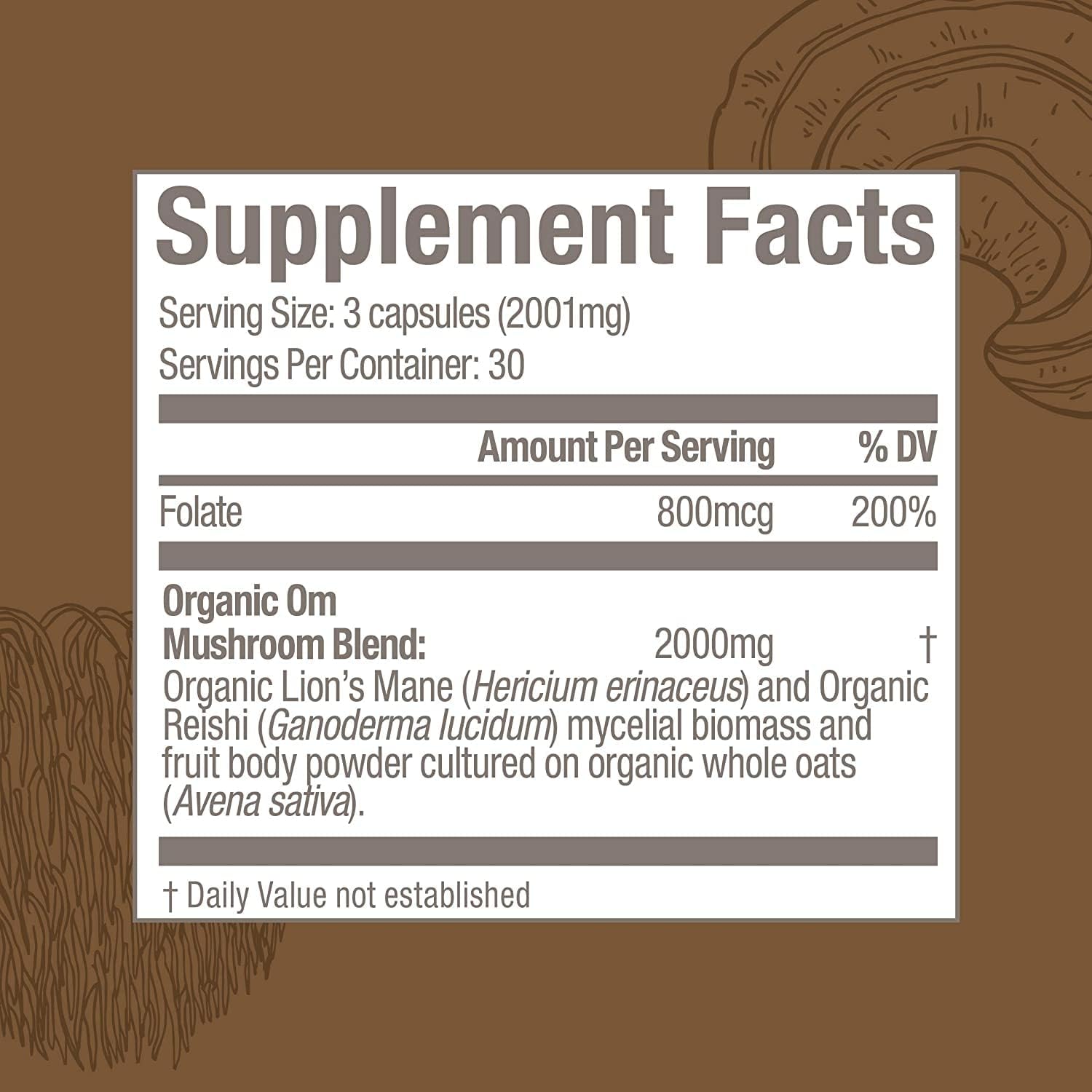 OM MUSHROOM SUPERFOOD Brain Fuel Mushroom Powder Capsules Superfood Supplement, 90 Count, 30 Days, Lion's Mane, Reishi Blend Plus Folate, Mental Clarity, Mushroom Supplement - PrimeBioHealth - canada supplements
