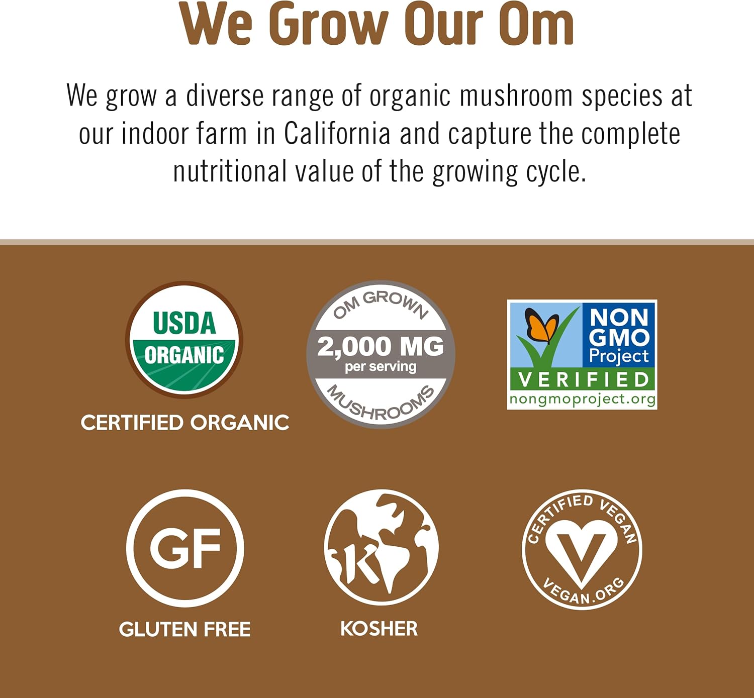 OM MUSHROOM SUPERFOOD Coffee Latte Blend – Functional Mushroom Powder with Lion’s Mane & Cordyceps – Energy, Focus & Mental Clarity Support – 8.47 oz Canister (30 Servings) - PrimeBioHealth - canada supplements