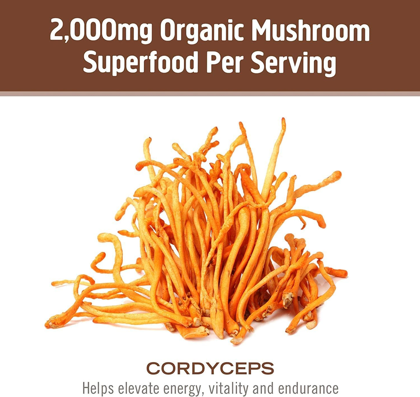OM MUSHROOM SUPERFOOD Cordyceps Mushroom Capsules Superfood Supplement, 90 Count, 30 Days, Organic Energy Supplement for Stamina and Endurance - PrimeBioHealth - canada supplements