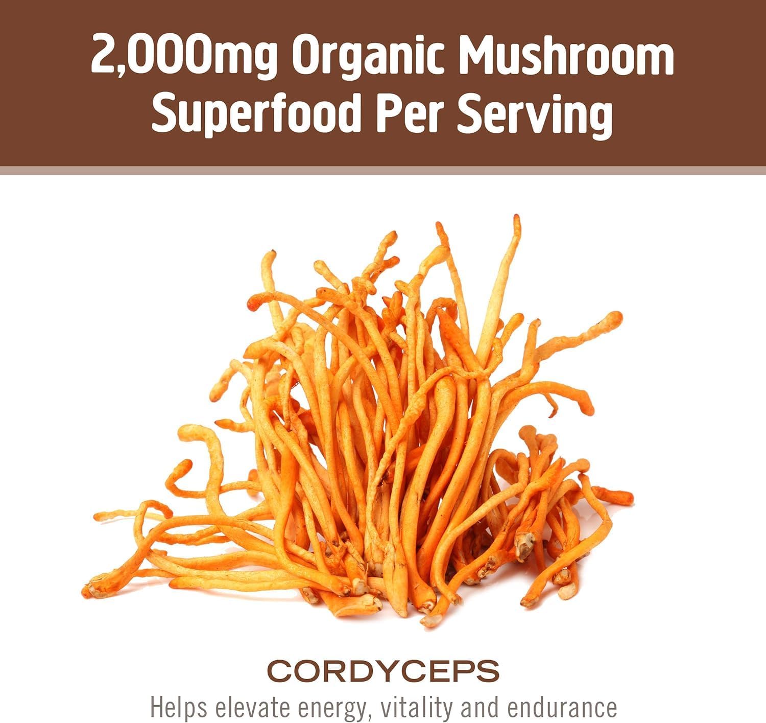 OM MUSHROOM SUPERFOOD Cordyceps Organic Mushroom Powder, 3.5 Ounce, 50 Servings, Energy, Power, Stamina and Endurance Support, Superfood Supplement for Sports Performance - PrimeBioHealth - canada supplements