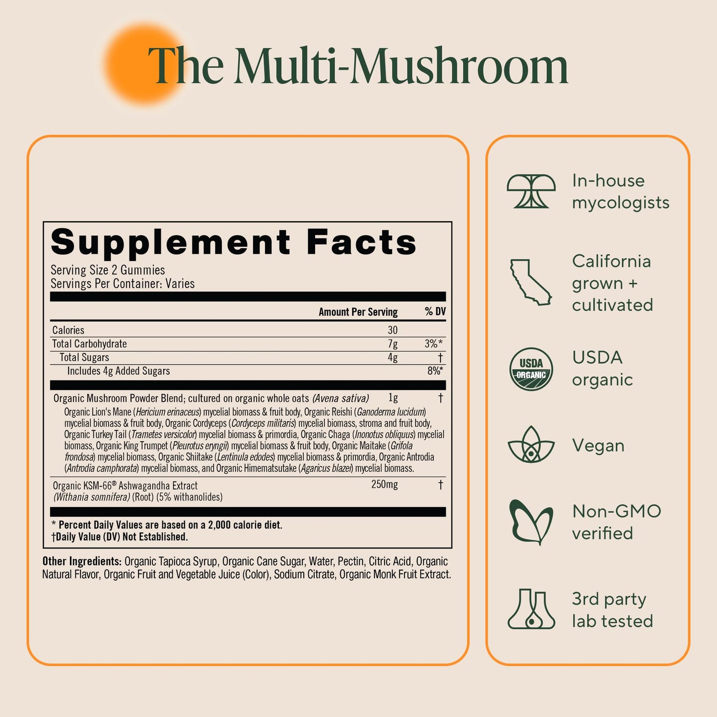 OM MUSHROOM SUPERFOOD Master Blend Mushroom Gummies – Organic 10-Mushroom Complex with Ashwagandha – Supports Immunity, Gut Health & Stress Relief – Mixed Berry Flavor – 28 Servings, 56 Count. - PrimeBioHealth - canada supplements