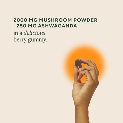 OM MUSHROOM SUPERFOOD Master Blend Mushroom Gummies – Organic 10-Mushroom Complex with Ashwagandha – Supports Immunity, Gut Health & Stress Relief – Mixed Berry Flavor – 28 Servings, 56 Count. - PrimeBioHealth - canada supplements