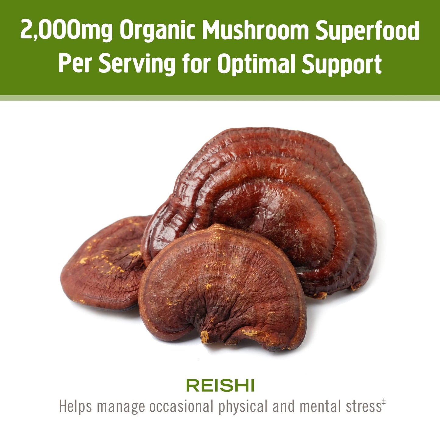 Om Mushroom Superfood Reishi Organic Mushroom Powder, 100 Servings, Organic Adaptogen Powder for Stress Relief and Immune Health - PrimeBioHealth - canada supplements