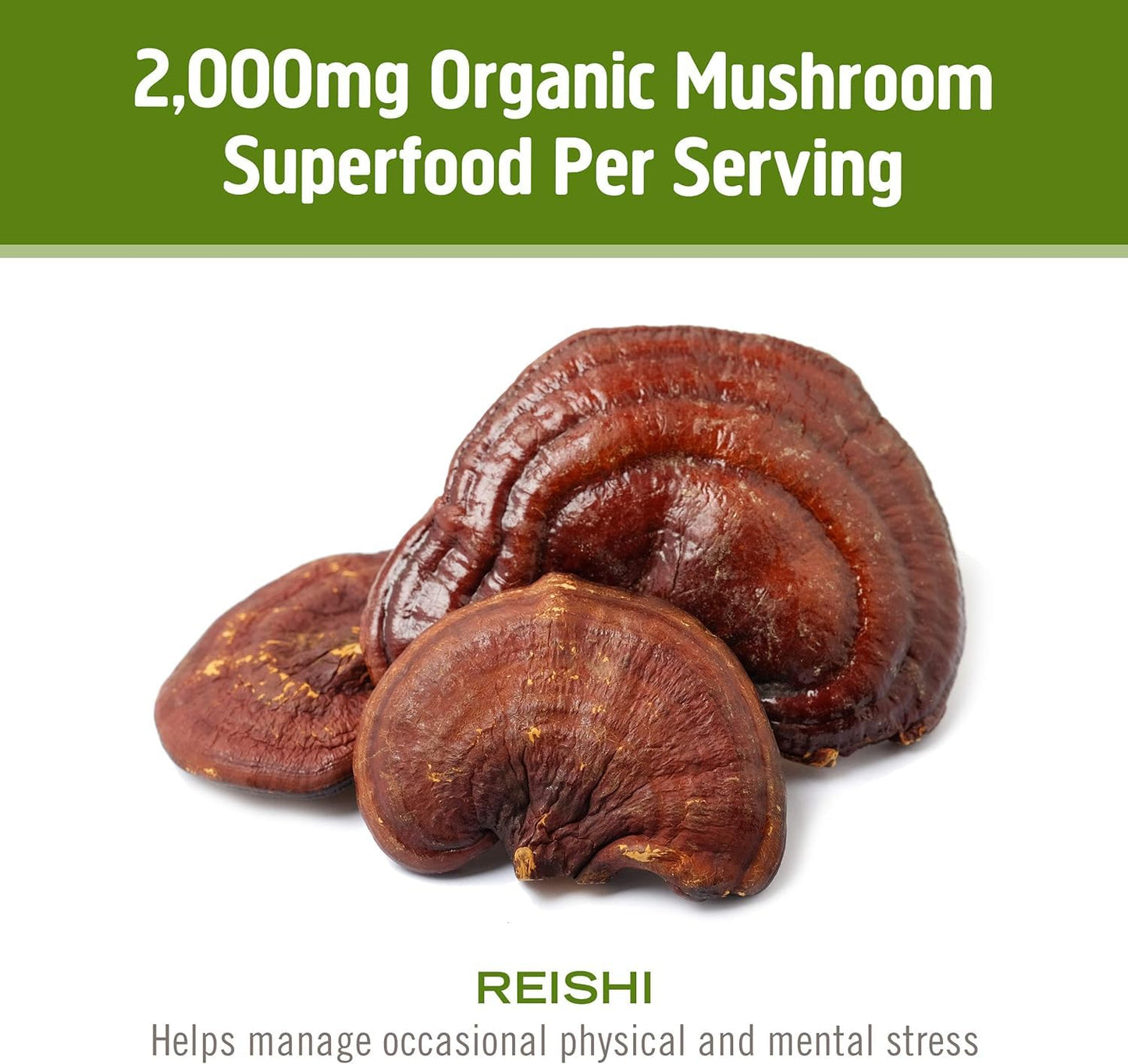 Om Mushroom Superfood Reishi Organic Mushroom Powder, 100 Servings, Organic Adaptogen Powder for Stress Relief and Immune Health - PrimeBioHealth - canada supplements