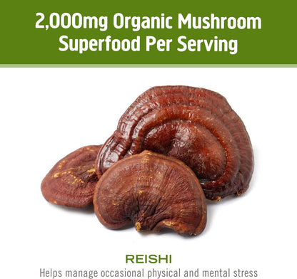 Om Mushroom Superfood Reishi Organic Mushroom Powder, 100 Servings, Organic Adaptogen Powder for Stress Relief and Immune Health - PrimeBioHealth - canada supplements