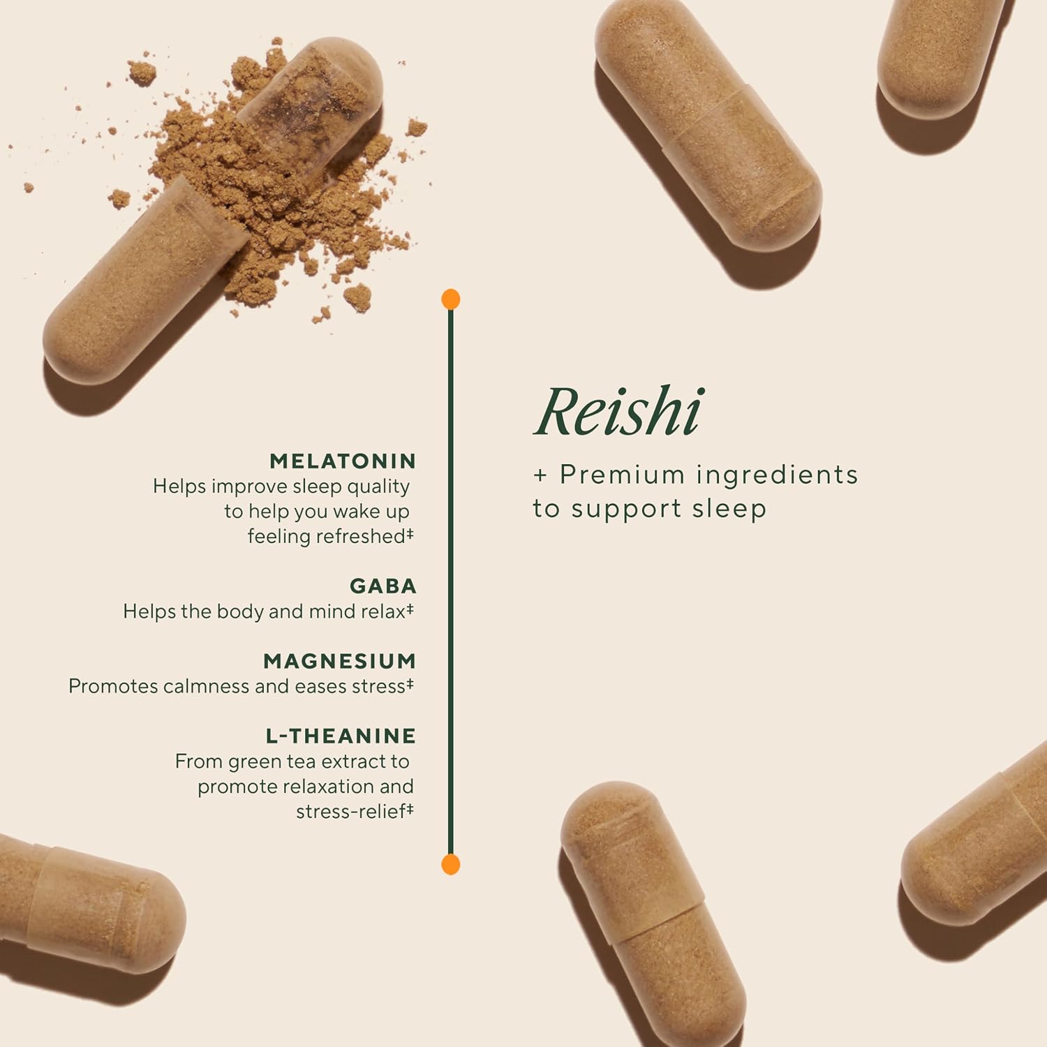 OM MUSHROOM SUPERFOOD Sleep Mushroom Capsules Superfood Supplement, 90 Count, 30 Days, Reishi, GABA, L-Theanine, Melatonin for Rest & Sleep Quality Superfood Supplement - PrimeBioHealth - canada supplements