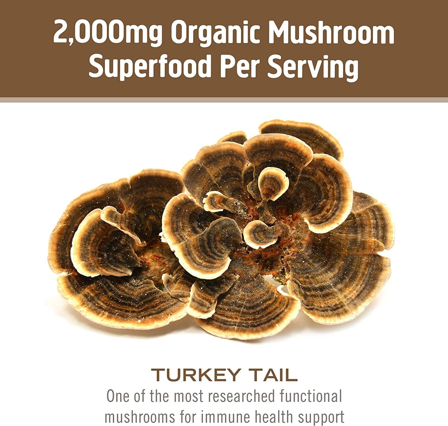 Om Mushroom Superfood Turkey Tail Mushroom Capsules Superfood Supplement, 90 Count, 30 Days, Immune Support, Polysacchrides, Beta-Glucans, Gut Health & Holistic Defense Mushroom Supplement - PrimeBioHealth - canada supplements