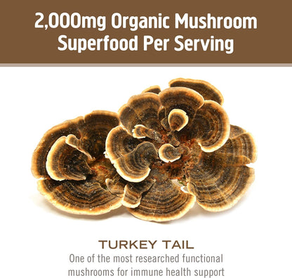 OM MUSHROOM SUPERFOOD Turkey Tail Organic Mushroom Powder Pouch, 7.05 Ounce, 100 Servings, Immune Support, Polysacchrides, Beta-Glucans, Gut Health & Holistic Defense Mushroom Supplement - PrimeBioHealth - canada supplements