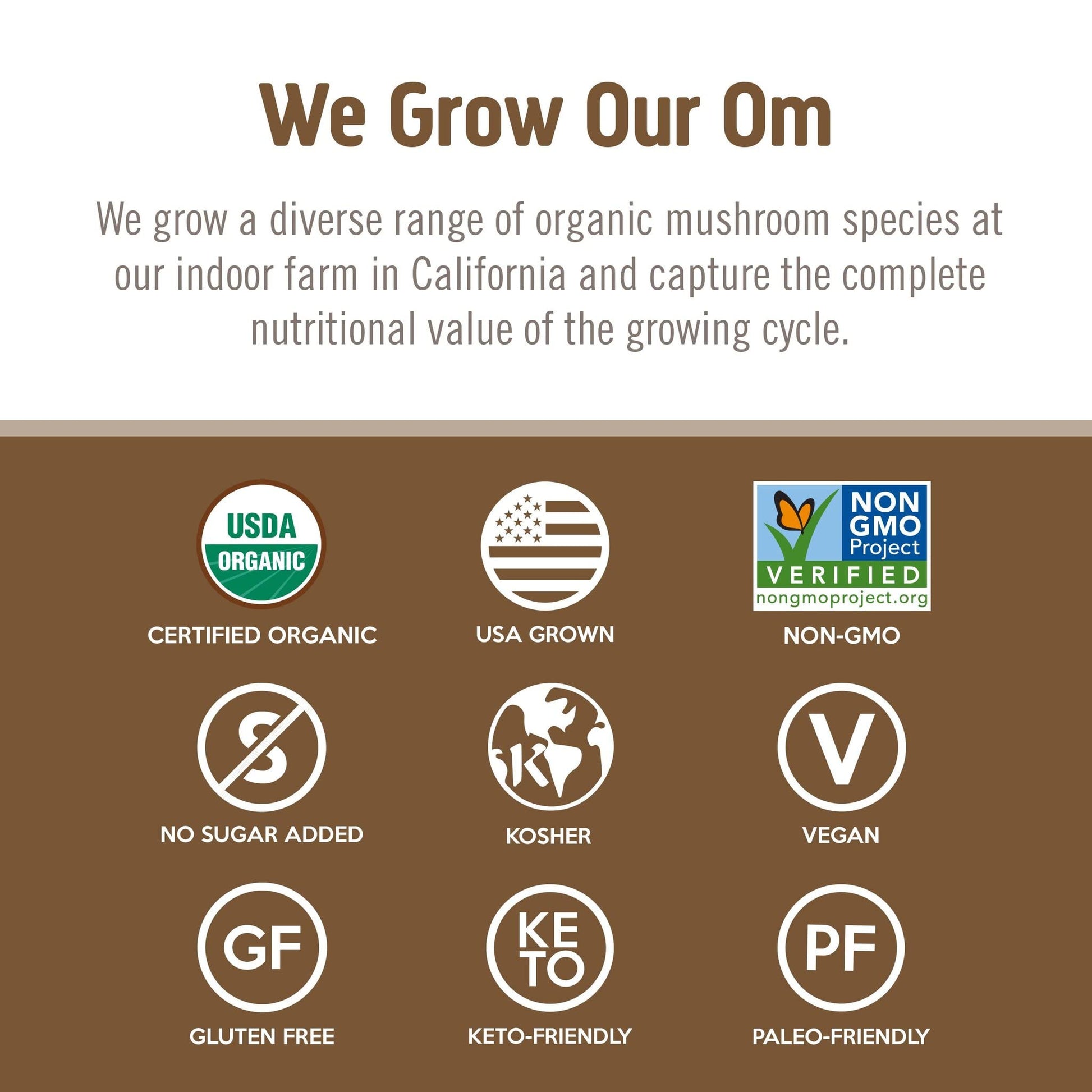 OM MUSHROOM SUPERFOOD Turkey Tail Organic Mushroom Powder Pouch, 7.05 Ounce, 100 Servings, Immune Support, Polysacchrides, Beta-Glucans, Gut Health & Holistic Defense Mushroom Supplement - PrimeBioHealth - canada supplements