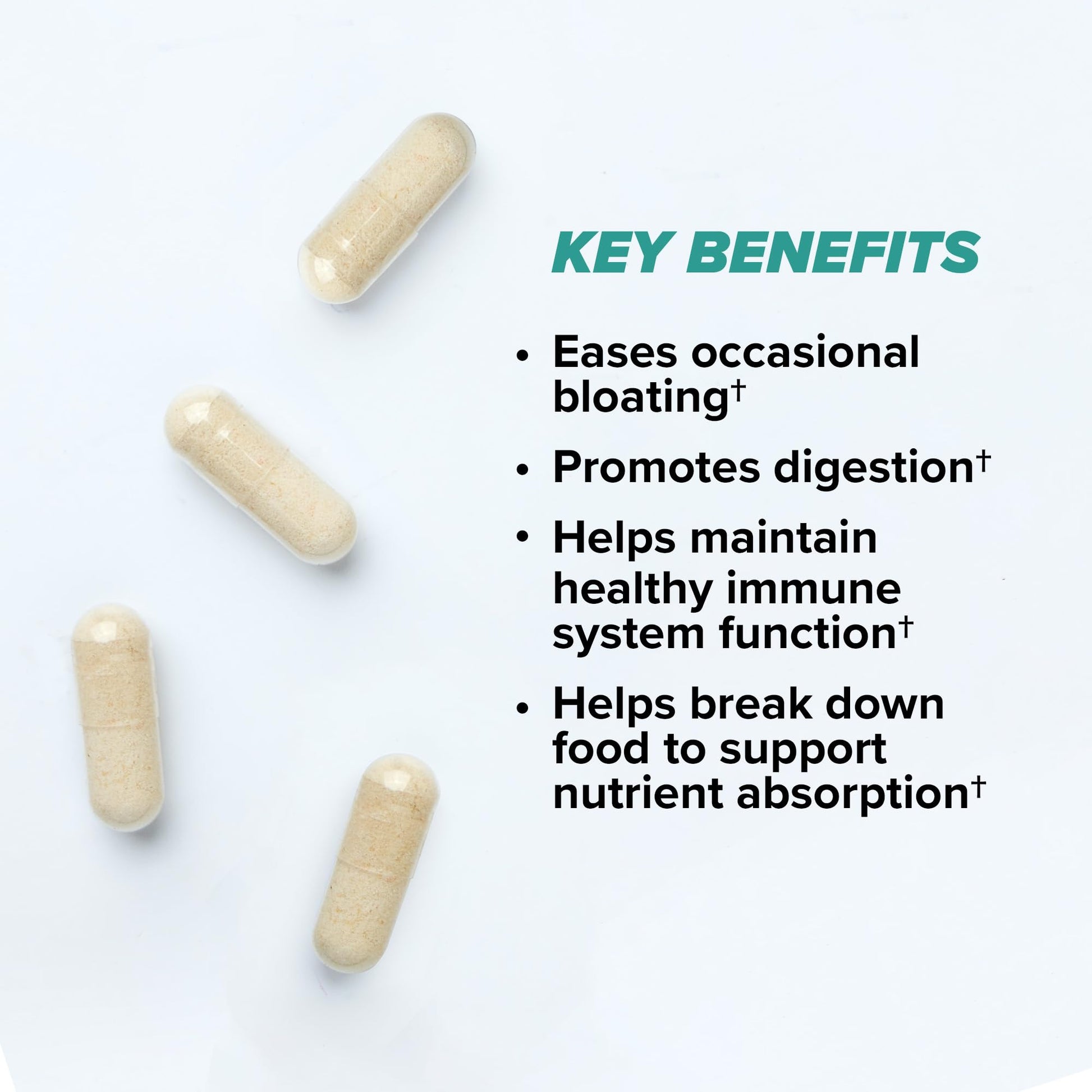 ONNIT Total Gut Health Daily Digestive Support, IGEN™ Non-GMO Tested Digestion Supplement for Women and Men with 7 Strains of Probiotics, - PrimeBioHealth - canada supplements