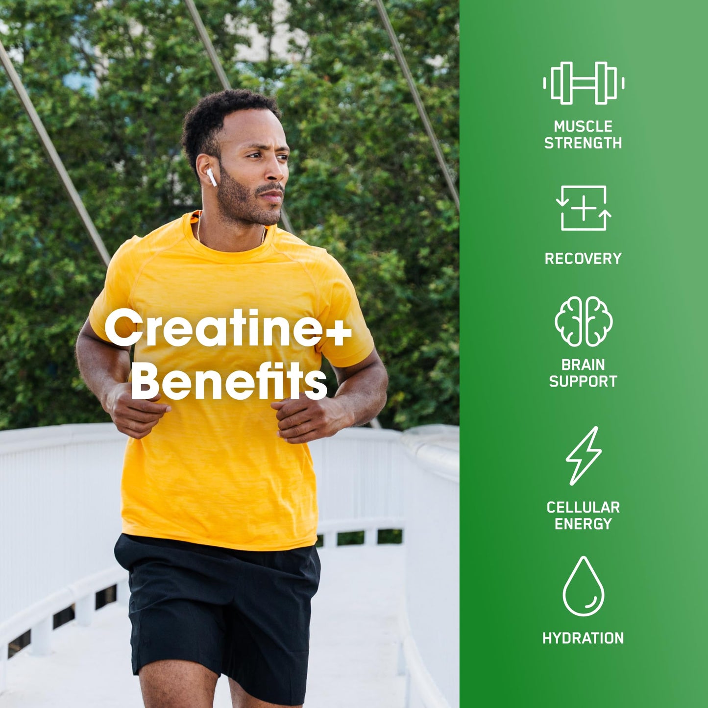 Optimum Nutrition Creatine Monohydrate Plus Powder, Orange Passionfruit Flavored Creatine Performance Blend With Electrolytes for Hydration, Added Vitamins, 40 Servings, 360 Grams (Packaging May Vary) - PrimeBioHealth - canada supplements