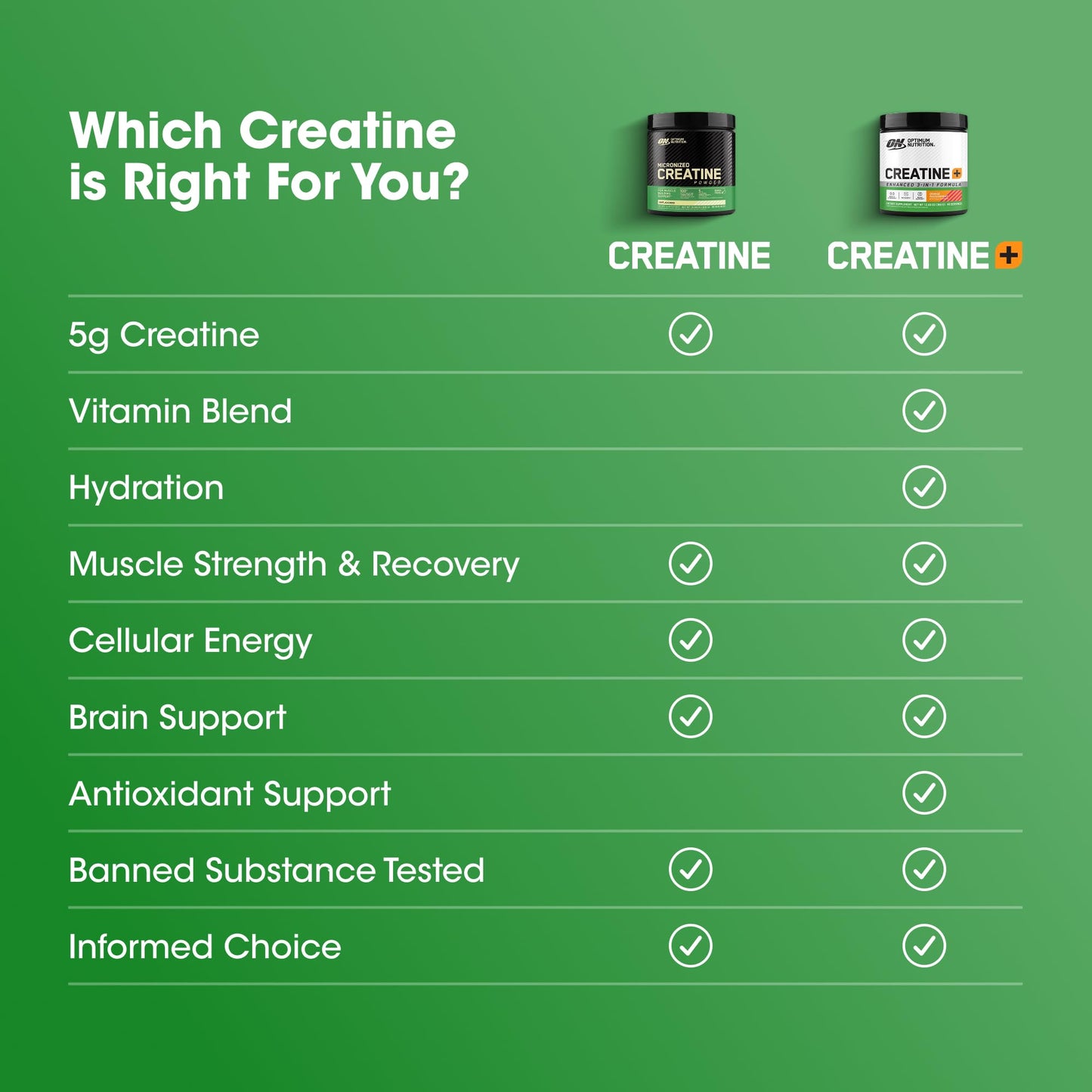 Optimum Nutrition Micronized Creatine Monohydrate Powder, Unflavored, 120 Servings, 600 Grams (Packaging May Vary) - PrimeBioHealth - canada supplements