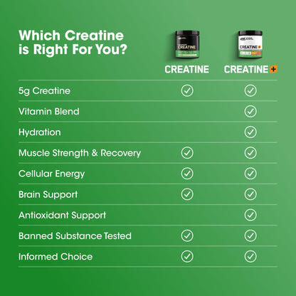 Optimum Nutrition Micronized Creatine Monohydrate Powder, Unflavored, 120 Servings, 600 Grams (Packaging May Vary) - PrimeBioHealth - canada supplements