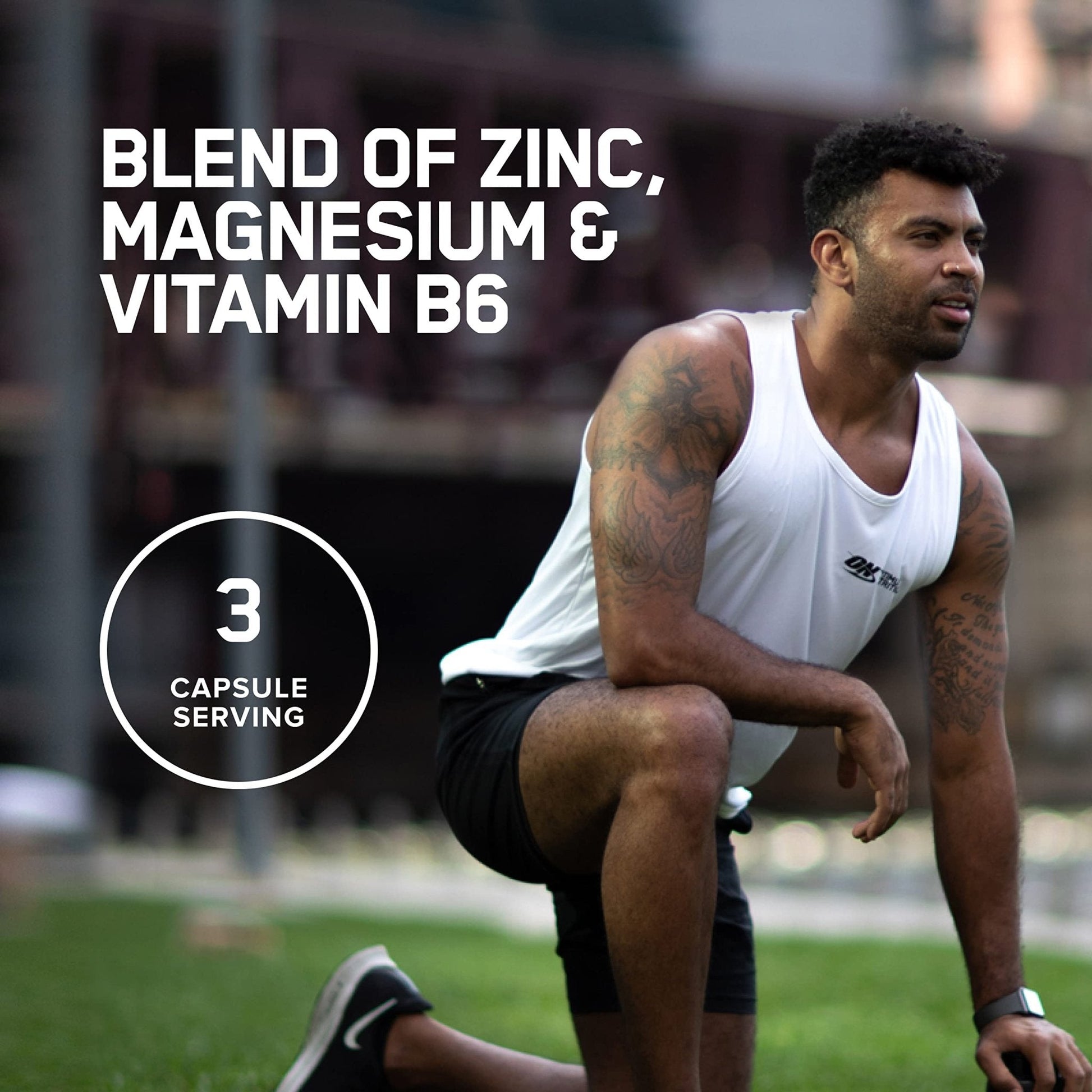 Optimum Nutrition Muscle Recovery and Endurance Supplement for Men and Women, Zinc and Magnesium Supplement, 180 Count - PrimeBioHealth - canada supplements