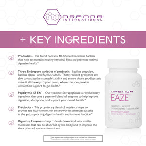 Orenda Eaze®: Gut Wellness Capsules | 6-in-1 Digestive Support with Probiotics, Endospores, Peptizyme-SP EN, Prebiotics, and Digestive Enzymes - PrimeBioHealth - canada supplements