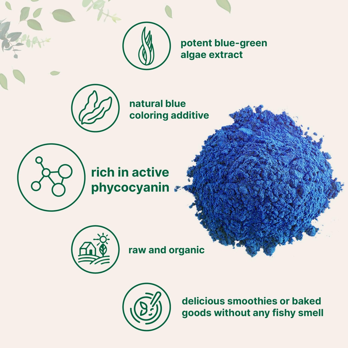 Organic Blue Spirulina Powder (Phycocyanin Extract), 30 Servings - No Fishy Smell, 100% Vegan Protein from Blue-Green Algae, Natural Luminous Food Coloring for Smoothies, Baking, Drinks & Cooking - PrimeBioHealth - canada supplements