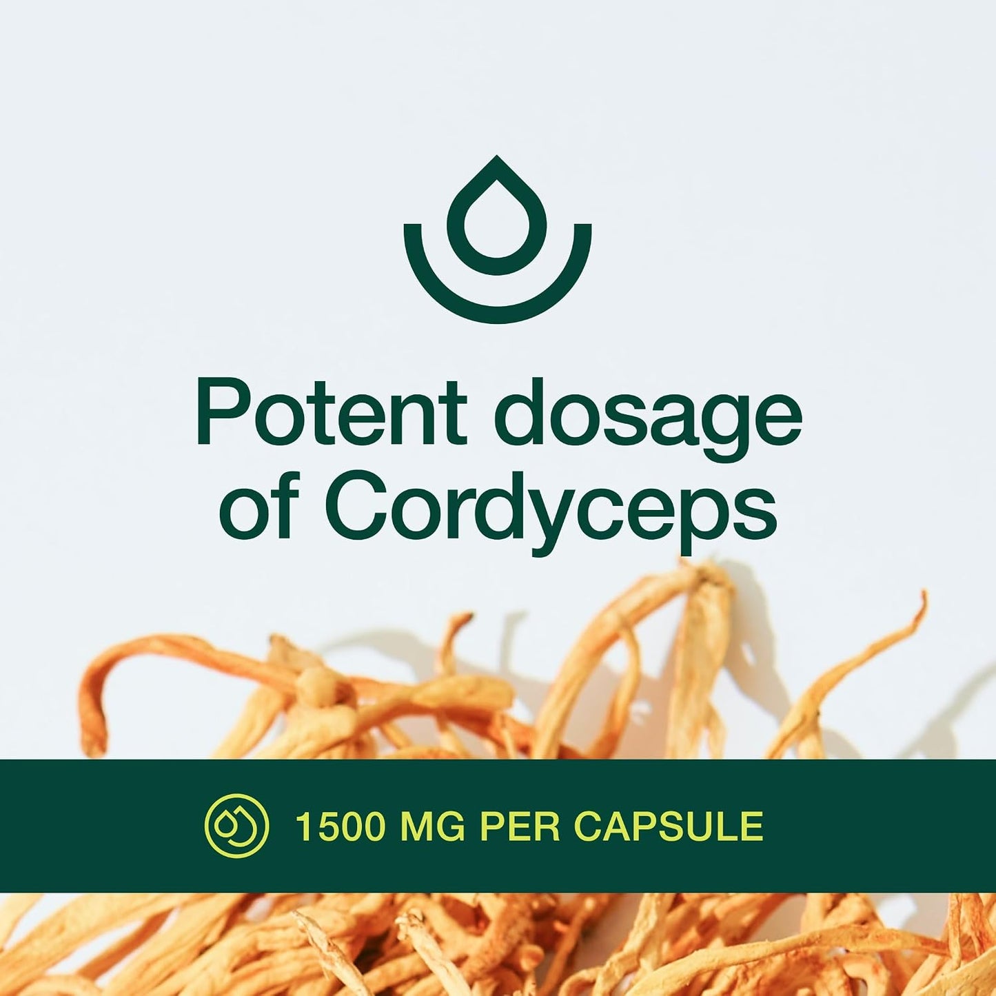 Organic Cordyceps Capsules (Cordyceps Sinensis Mushroom Extract)- 1500mg Per Serving - Energy & Stamina Support - Rich in Alpha Glucan - Vegan, Non GMO, Gluten-Free - 90 Capsules - PrimeBioHealth - canada supplements