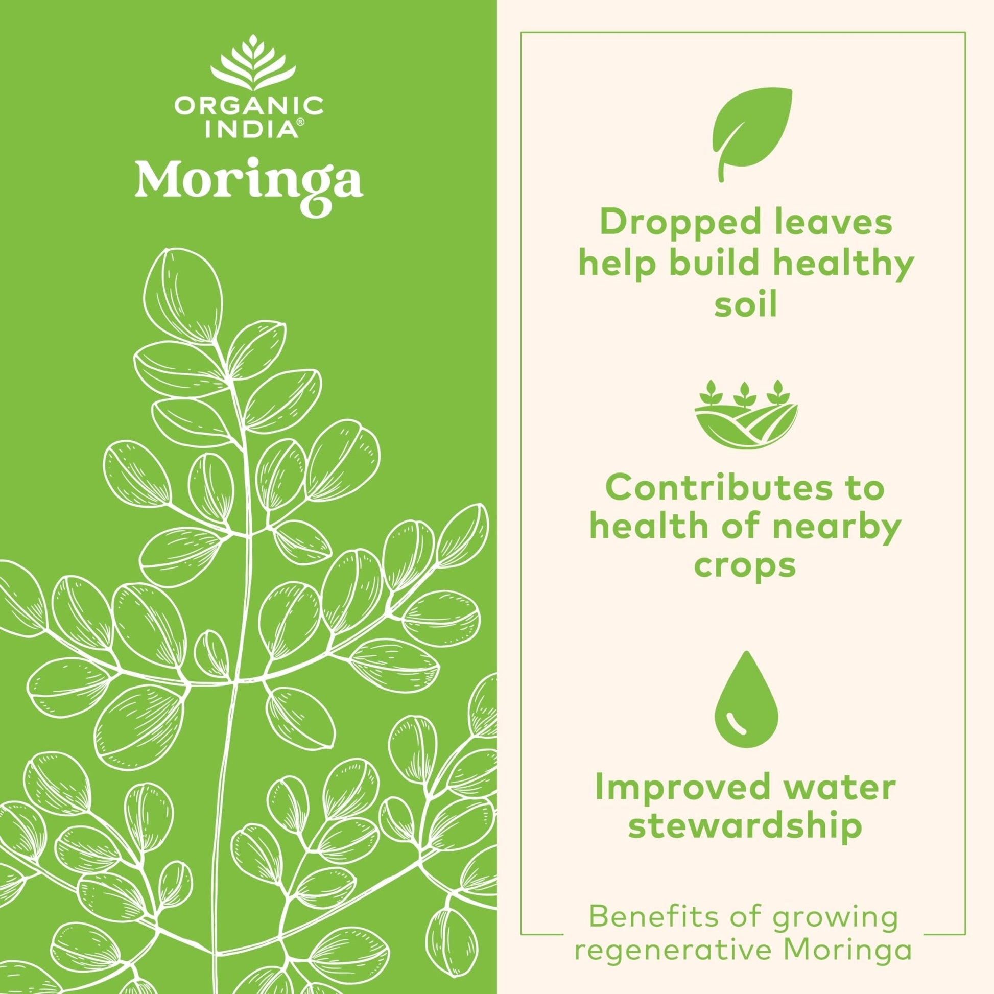 ORGANIC INDIA Moringa Herbal Supplement - Green Superfood, Nutrient Dense, Pure Plant Protein, Vitamin A, E, K, Iron, Calcium, Fiber, Vegan - PrimeBioHealth - canada supplements