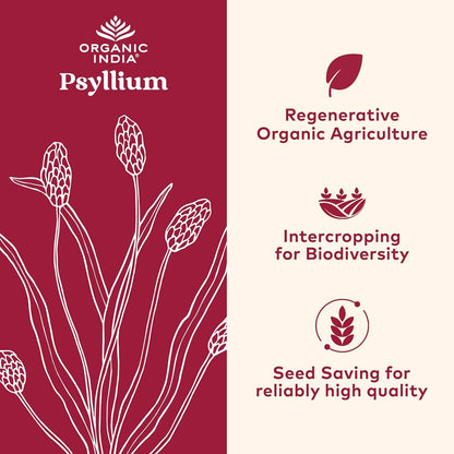ORGANIC INDIA Psyllium Herbal Powder - Whole Husk Fiber, Vegan, Gluten-Free, USDA Certified Organic, Non-GM - PrimeBioHealth - canada supplements