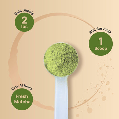 Organic Matcha Green Tea Powder, 1 Pound | Unsweetened with Zero Sugar, Culinary Grade, Potent Early Spring Leaf Harvest, Fine Stone Ground – Vegan, All Purpose, Great for Matcha Latte - PrimeBioHealth - canada supplements