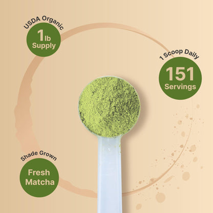 Organic Matcha Green Tea Powder, 1 Pound | Unsweetened with Zero Sugar, Culinary Grade, Potent Early Spring Leaf Harvest, Fine Stone Ground – Vegan, All Purpose, Great for Matcha Latte - PrimeBioHealth - canada supplements