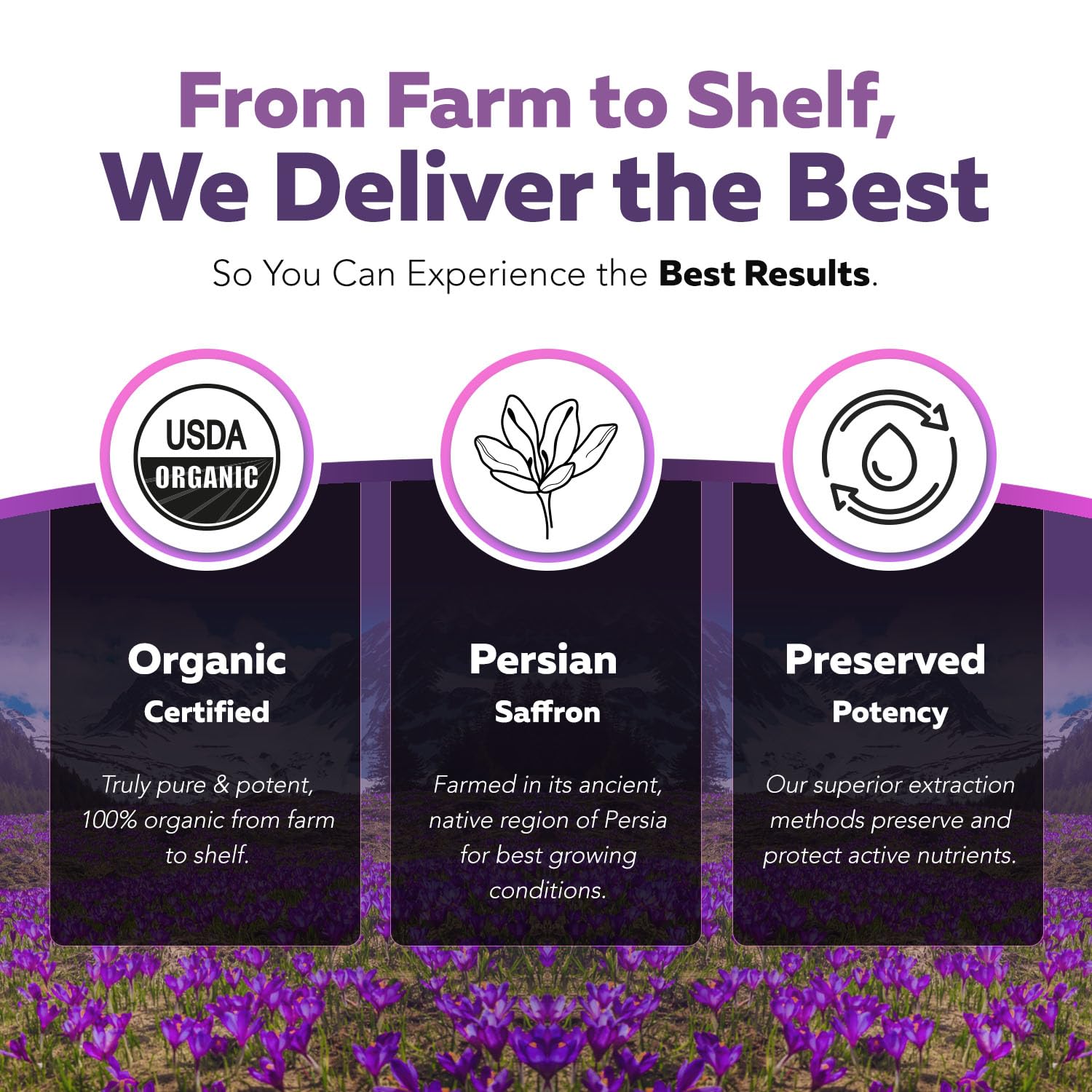 Organic Saffron Extract: Optimized Extract with Safromotivines, Safranal, and Crocins – Clinically Studied | Premium Persian Sargol Quality | Supports Mood, Calmness, and Relaxation – 30 Servings - PrimeBioHealth - canada supplements