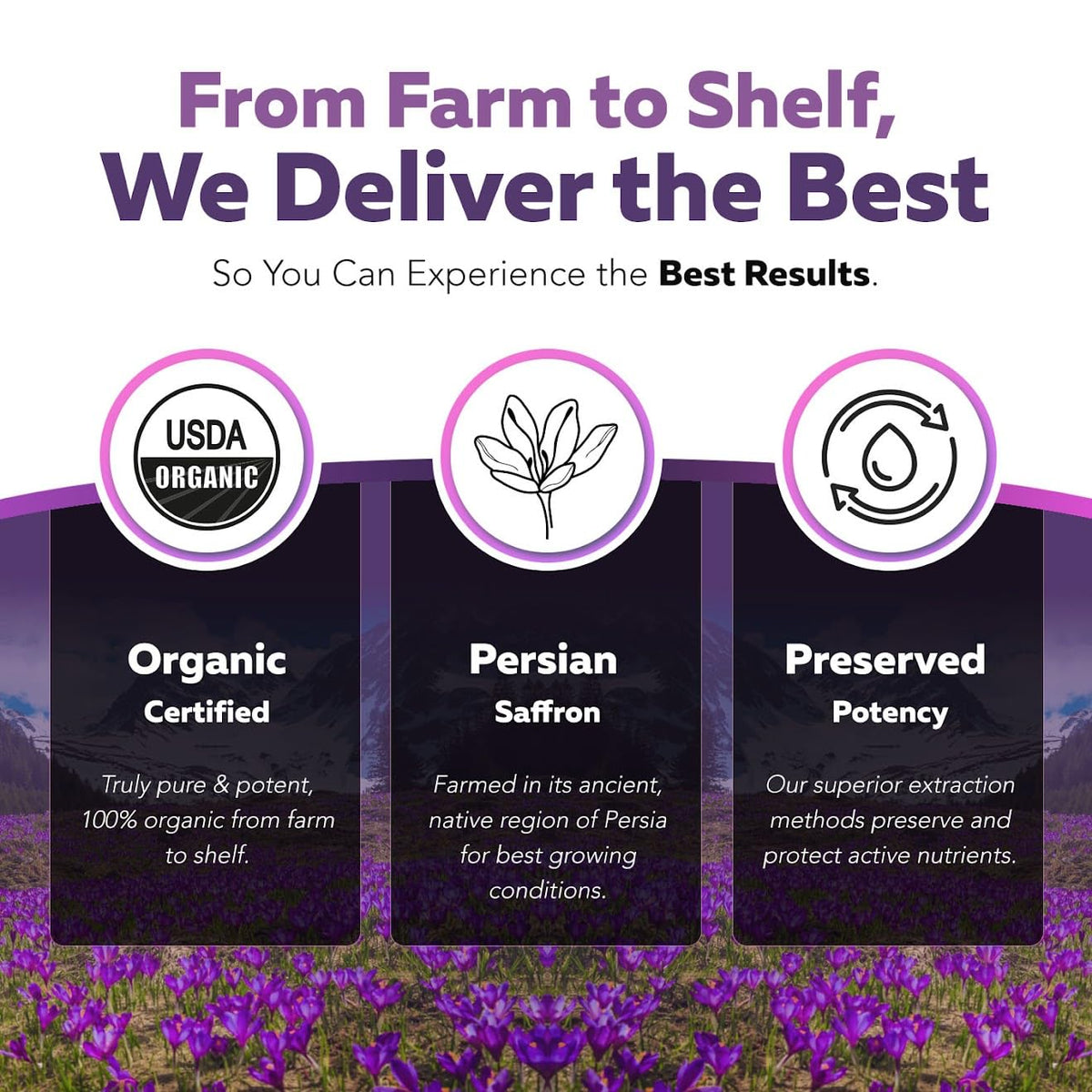Organic Saffron Extract: Optimized Extract with Safromotivines, Safranal, and Crocins – Clinically Studied | Premium Persian Sargol Quality | Supports Mood, Calmness, and Relaxation – 30 Servings - PrimeBioHealth - canada supplements