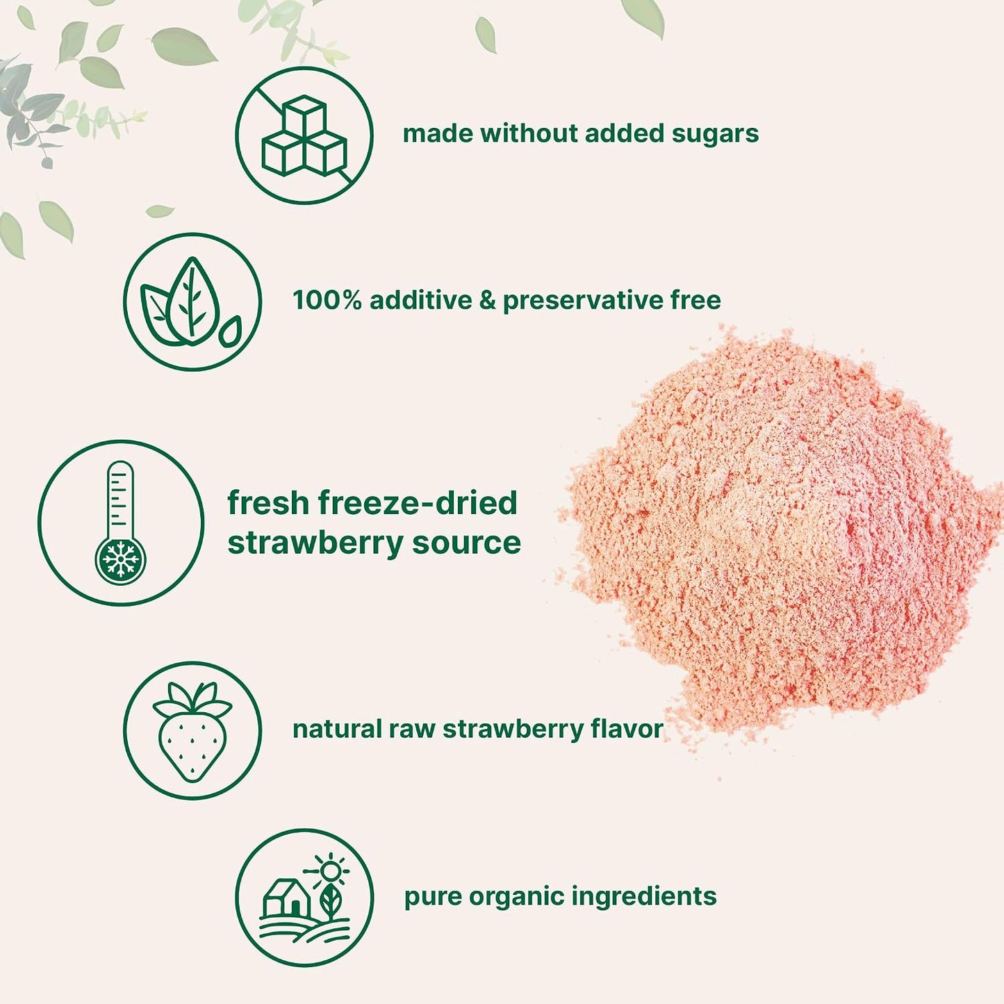 Organic Strawberry Powder, 1 Lb | 100% Natural Fruit Powder | Freeze-Dried Strawberries Source | No Sugar & Additives | Great Flavor for Drinks, Smoothie, & Beverages | Non-GMO & Vegan Friendly - PrimeBioHealth - canada supplements