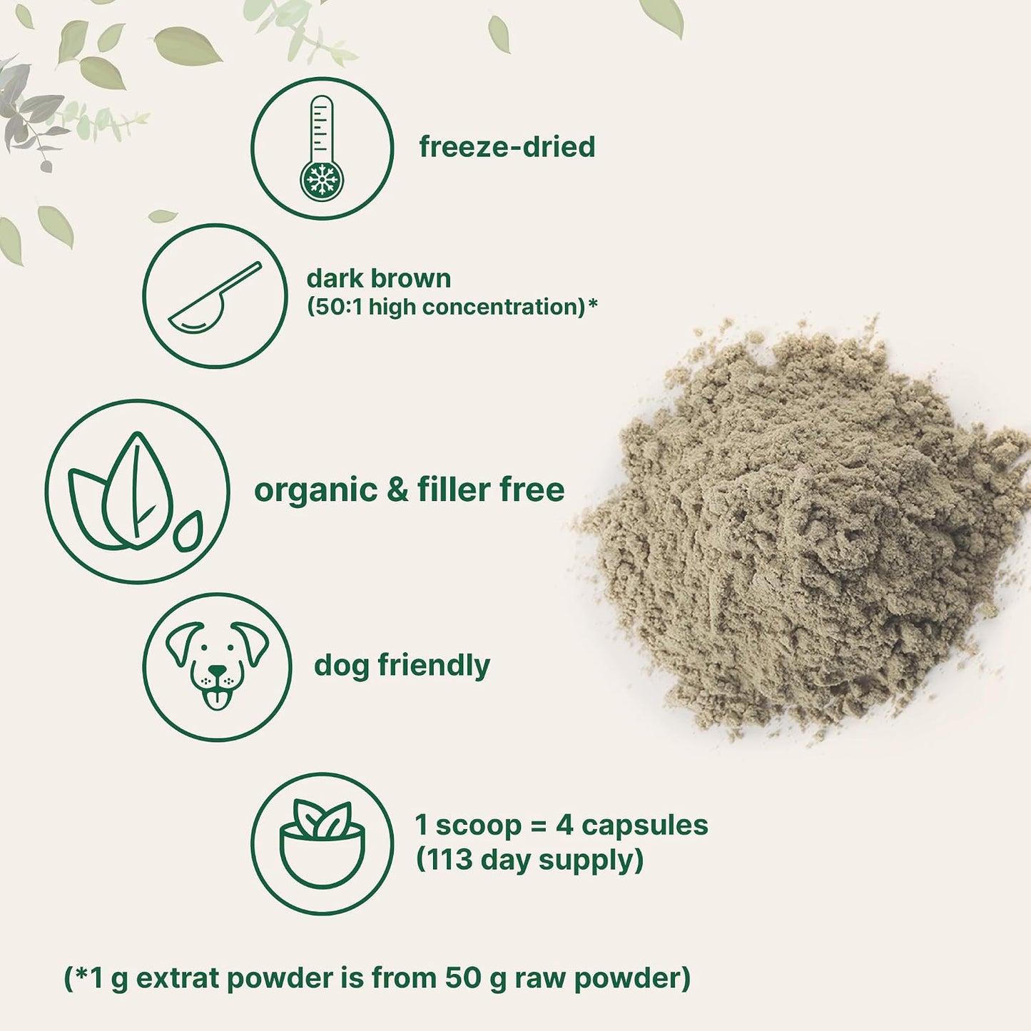 Organic Turkey Tail Mushroom Powder (50:1 Extract), 8 Ounce | Freeze Dried with Active Polysaccharides, Supports Immune Response & Cellular Level, Pet Friendly - PrimeBioHealth - canada supplements