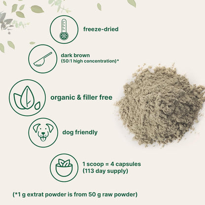 Organic Turkey Tail Mushroom Powder (50:1 Extract), 8 Ounce | Freeze Dried with Active Polysaccharides, Supports Immune Response & Cellular Level, Pet Friendly - PrimeBioHealth - canada supplements