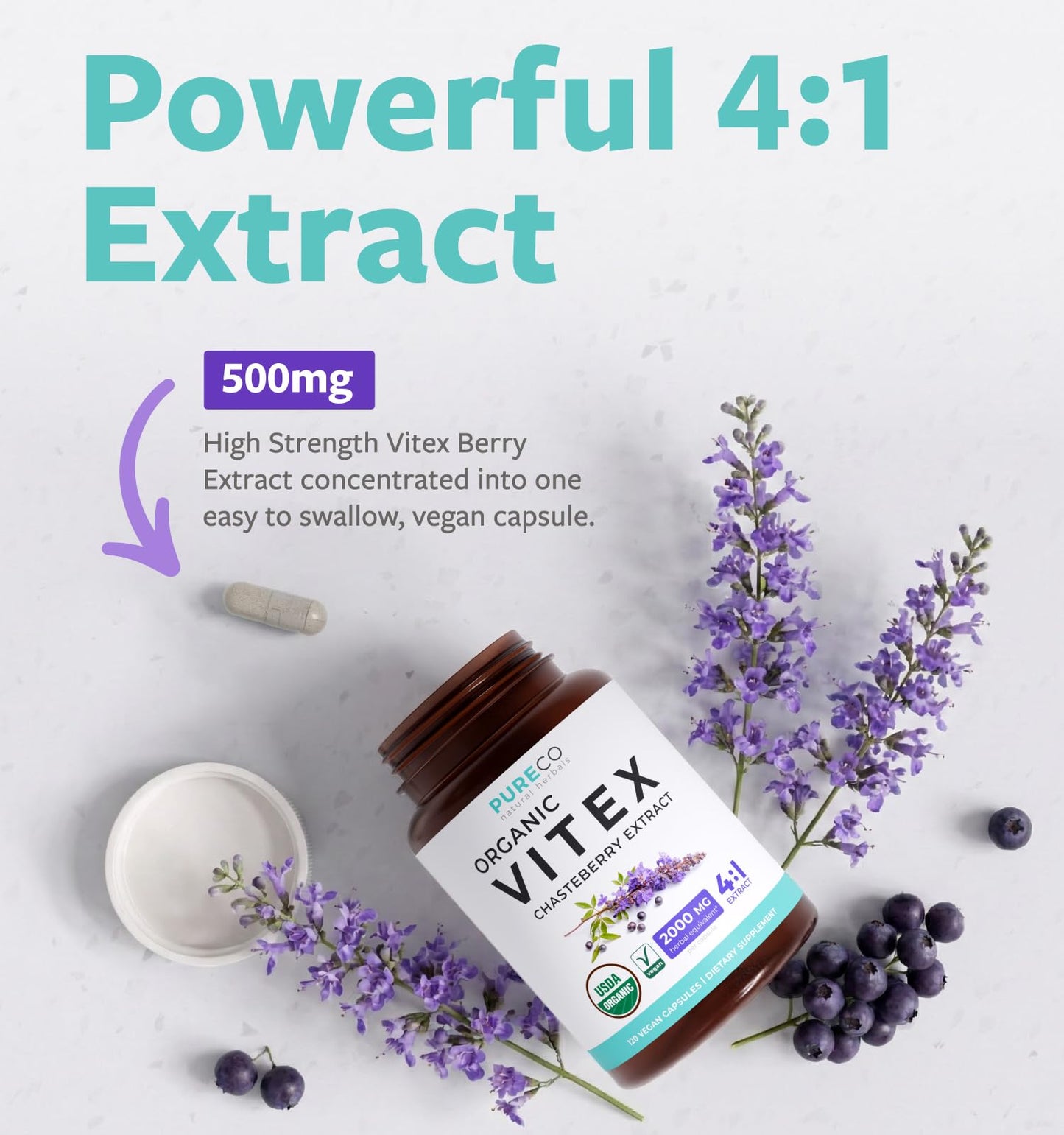 Organic Vitex Chasteberry Supplement for Women - High Strength Chaste Tree Berry Extract Supports Hormone Balance for Women from PMS to Menopause - Filler Free Vegan & Non-GMO (2 Month Supply) - PrimeBioHealth - canada supplements