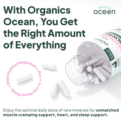 Organics Ocean Pure Magnesium Glycinate with Zinc - Maximum Strength Chelated Magnesium Supplement for Women and Men - PrimeBioHealth - canada supplements