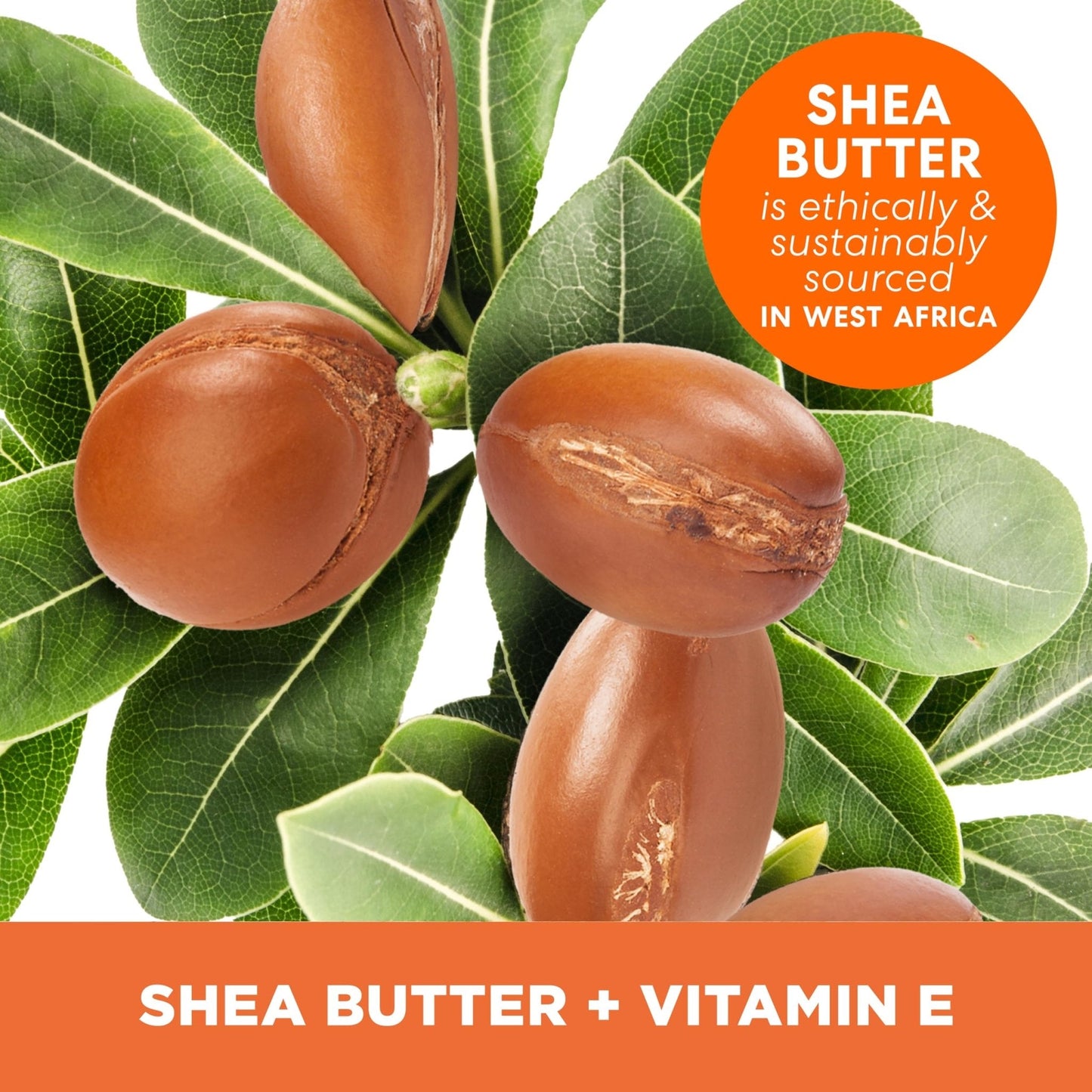 Palmer's Shea Butter Formula Raw African Shea Butter Balm, Nourishing Body Moisturizer - PrimeBioHealth - canada supplements