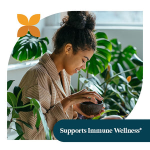 Pattern Wellness Greens Powder Superfood – with Antioxidant, Digestive Enzyme, Fiber, Probiotic & Adaptogen Blends – Digestion, Immunity & Energy Production – 30 Servings – Original Flavor – (6.77 oz) - PrimeBioHealth - canada supplements