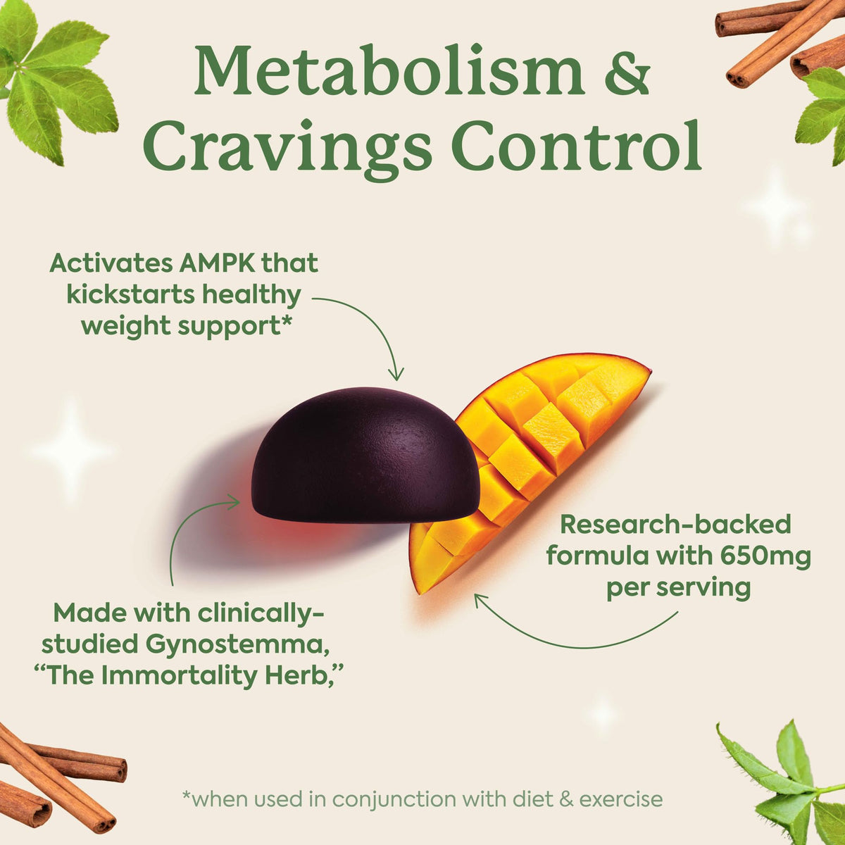 Plant People WonderBurn Metabolism & Cravings Control Gummies, Zero Sugar, Ripe Mango Flavor (60 Count) - PrimeBioHealth - canada supplements