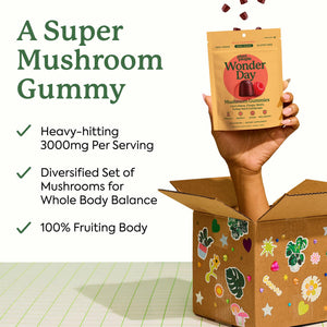 Plant People WonderDay Mushroom Gummies - Lion’s Mane, Cordyceps, Chaga Mushroom Supplement to Support Immune System De-Stress Boost Mood & Energy in Adults Natural - PrimeBioHealth - canada supplements