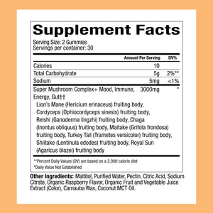 Plant People WonderDay Mushroom Gummies - Lion’s Mane, Cordyceps, Chaga Mushroom Supplement to Support Immune System De-Stress Boost Mood & Energy in Adults Natural - PrimeBioHealth - canada supplements