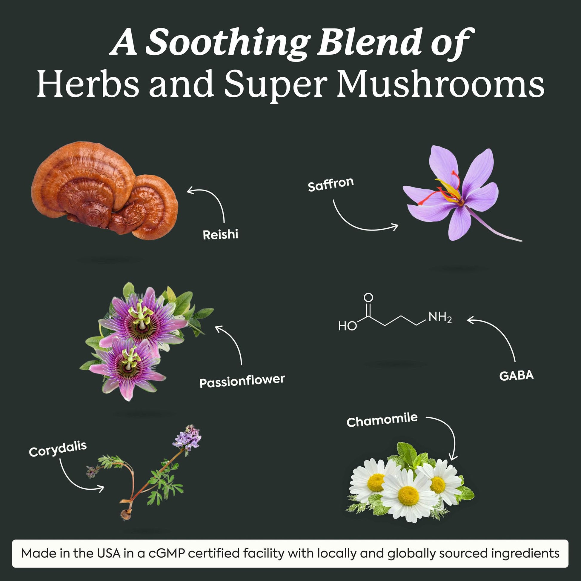 Plant People WonderSleep Mushroom Gummies Supplement for Sleep, No Melatonin with Reishi Super Mushrooms, Wild Elderberry Flavor, Sugar-Free (60 Count) - PrimeBioHealth - canada supplements