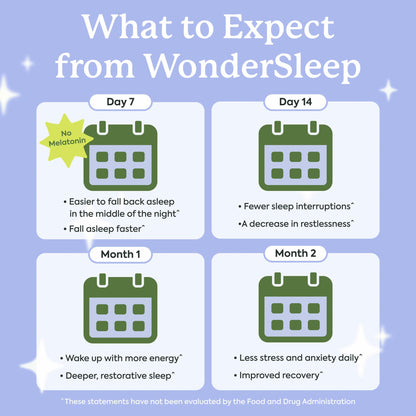 Plant People WonderSleep Mushroom Gummies Supplement for Sleep, No Melatonin with Reishi Super Mushrooms, Wild Elderberry Flavor, Sugar-Free (60 Count) - PrimeBioHealth - canada supplements