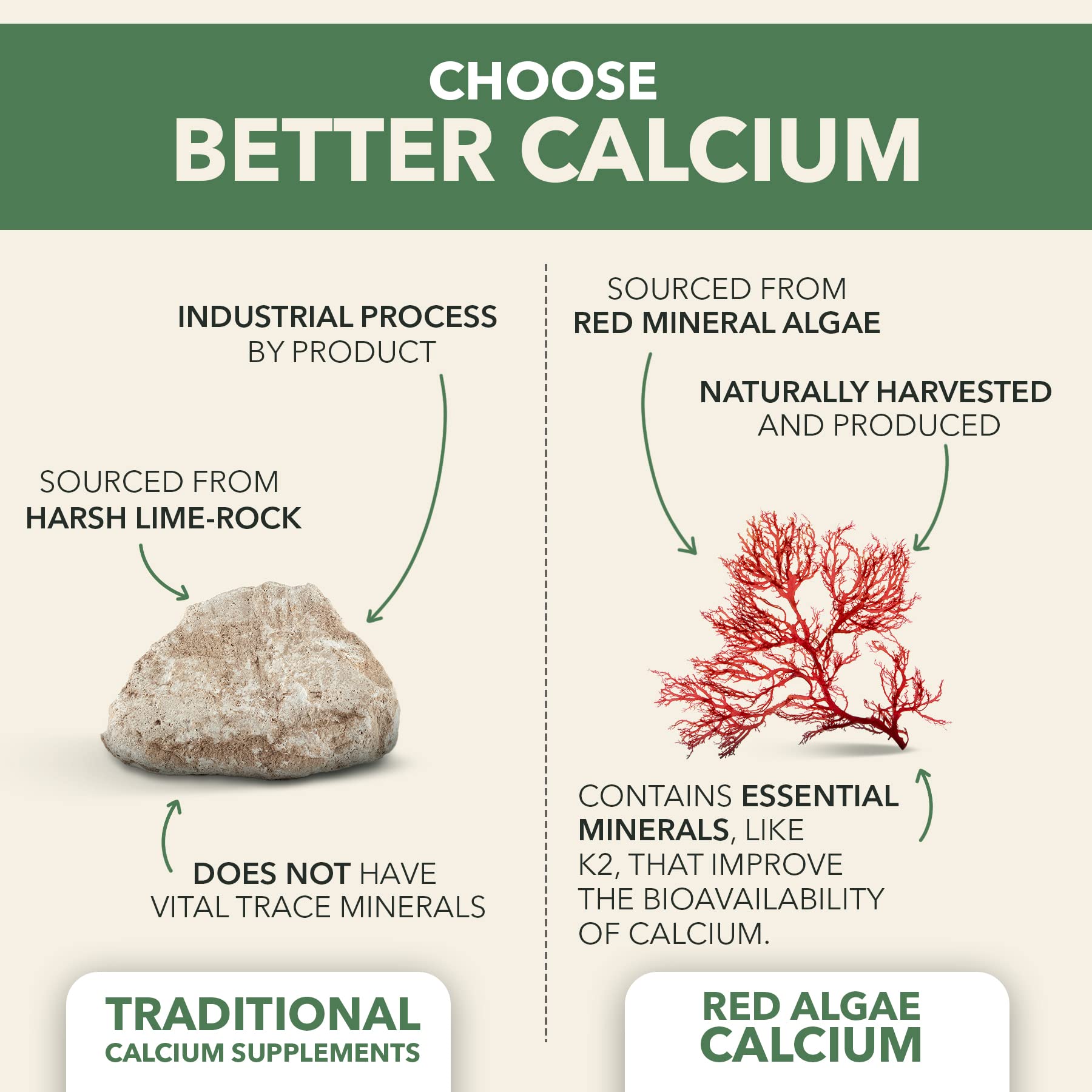 PlantFusion Vegan Calcium, Premium Plant Based Calcium (1000mg) Sourced from Icelandic Red Algae, Plus Magnesium, D3, K2 - PrimeBioHealth - canada supplements