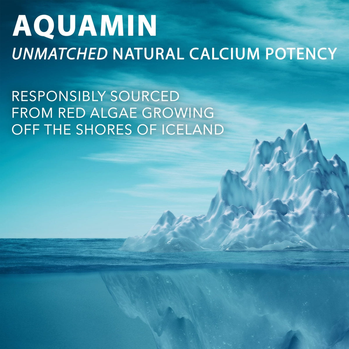 PlantFusion Vegan Calcium, Premium Plant Based Calcium (1000mg) Sourced from Icelandic Red Algae, Plus Magnesium, D3, K2 - PrimeBioHealth - canada supplements