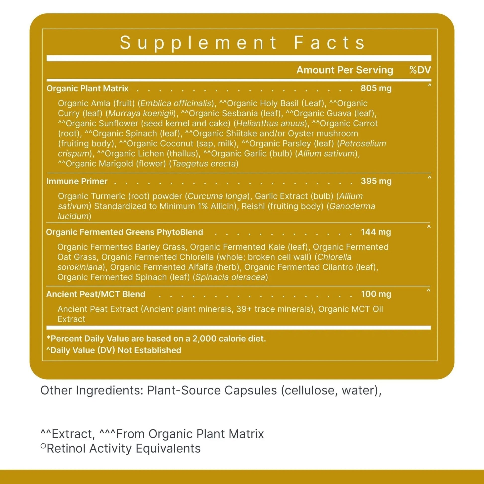 Premier Research Labs Multi-Vitamin - Immune, Brain & Heart Support | with Prebiotics and Postbiotics | Vegan Capsules for Men & Women - PrimeBioHealth - canada supplements