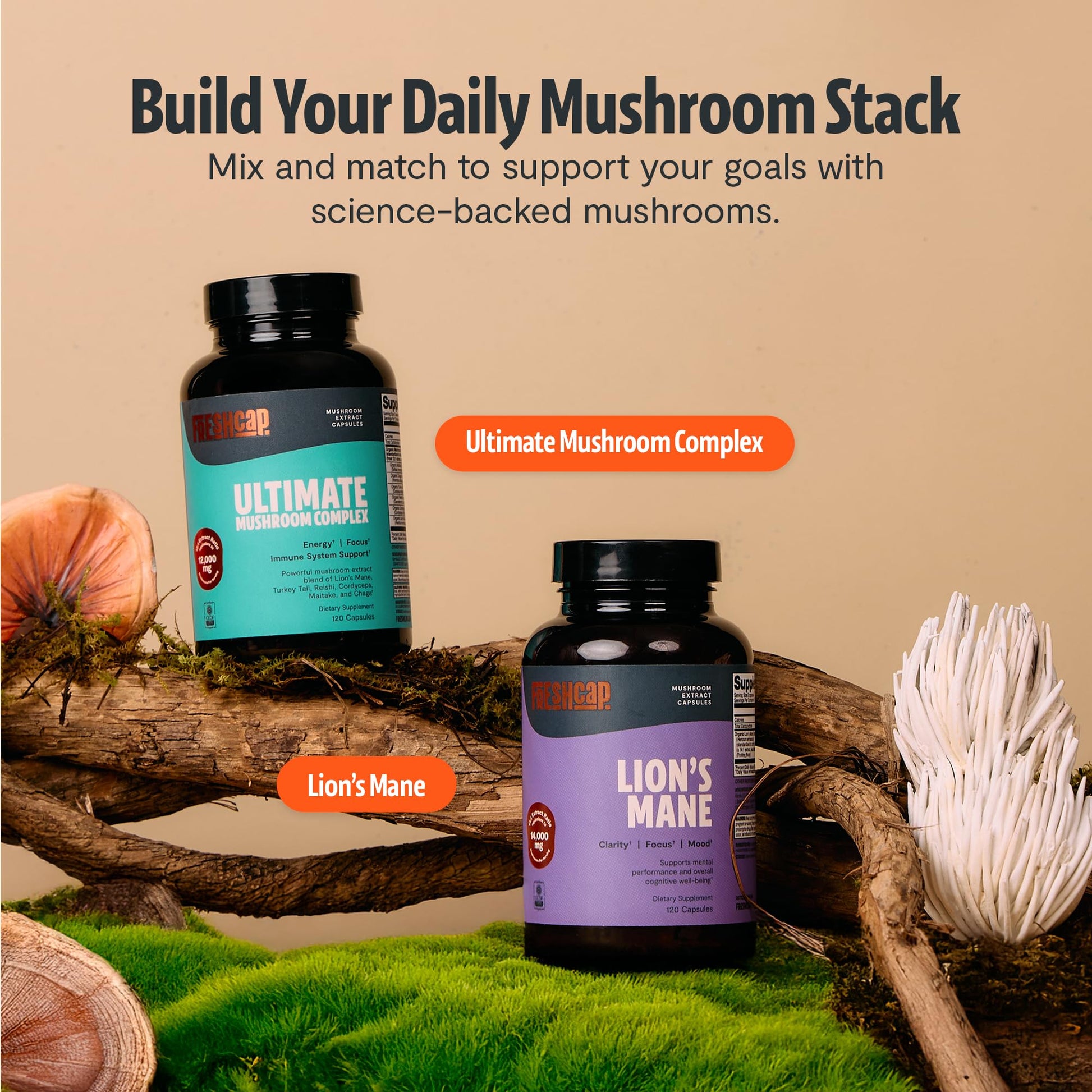 Premium Organic Mushroom Coffee – 12:1 Fruiting Body Extract – 29% Beta-Glucans – Smooth Tasting, 3rd-Party Tested for Clean Energy, No Jitters, Focus, Immune Support (15 Servings) - PrimeBioHealth - canada supplements