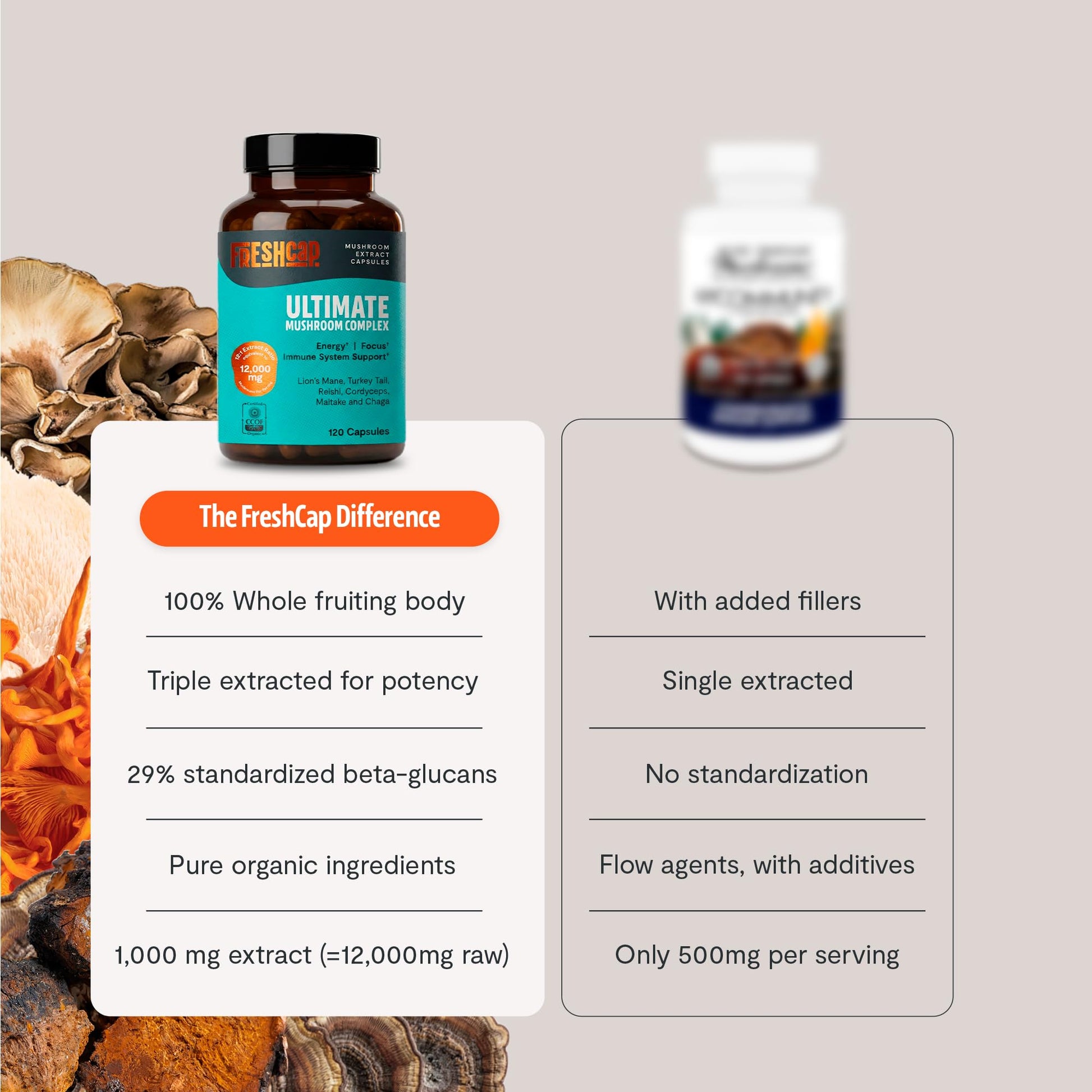 Premium Organic Mushroom Coffee – 12:1 Fruiting Body Extract – 29% Beta-Glucans – Smooth Tasting, 3rd-Party Tested for Clean Energy, No Jitters, Focus, Immune Support (15 Servings) - PrimeBioHealth - canada supplements
