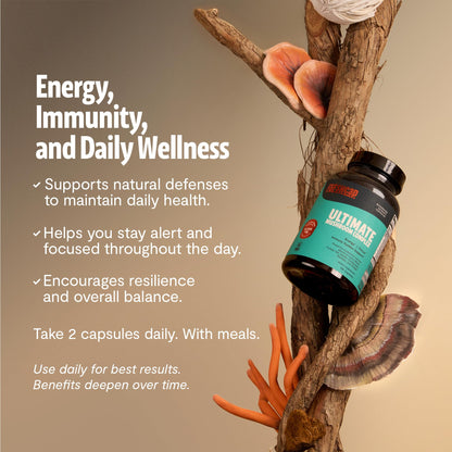 Premium Organic Mushroom Coffee – 12:1 Fruiting Body Extract – 29% Beta-Glucans – Smooth Tasting, 3rd-Party Tested for Clean Energy, No Jitters, Focus, Immune Support (15 Servings) - PrimeBioHealth - canada supplements