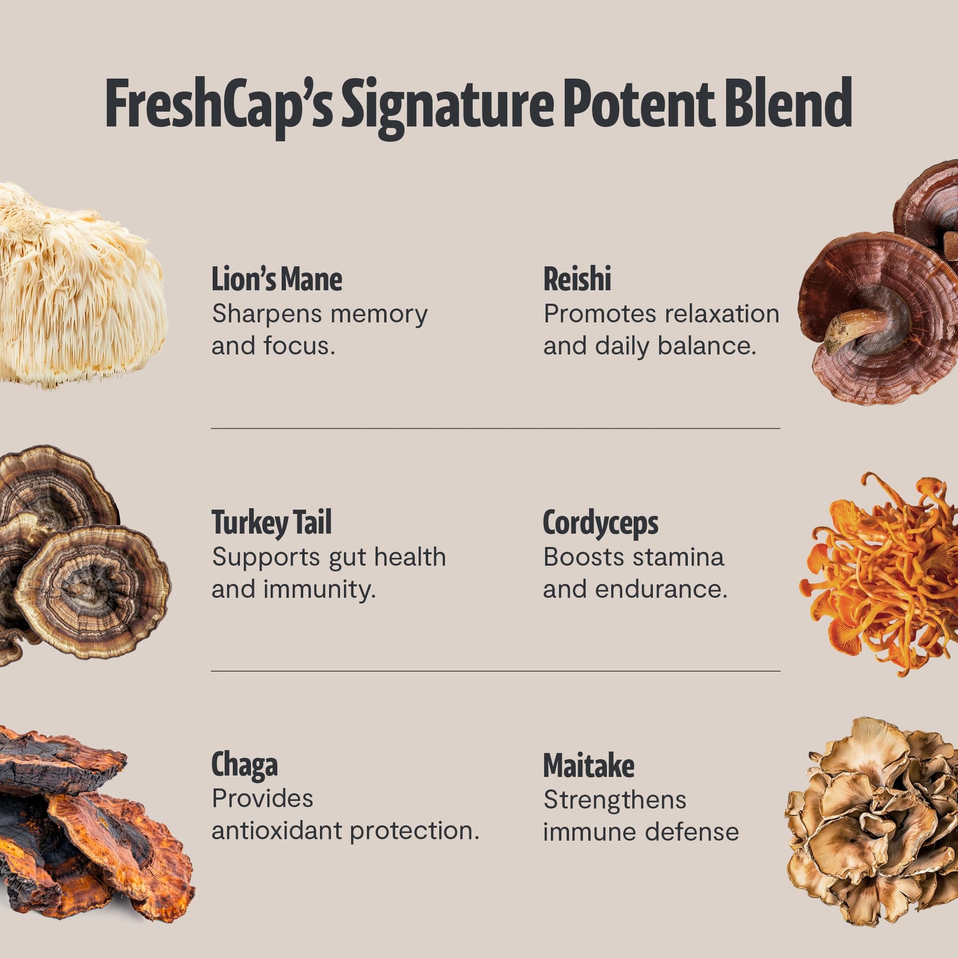 Premium Organic Mushroom Coffee – 12:1 Fruiting Body Extract – 29% Beta-Glucans – Smooth Tasting, 3rd-Party Tested for Clean Energy, No Jitters, Focus, Immune Support (15 Servings) - PrimeBioHealth - canada supplements